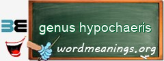 WordMeaning blackboard for genus hypochaeris
